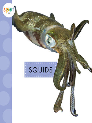 cover image of Squids